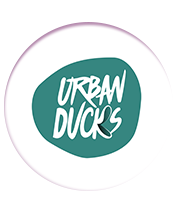 Urban Ducks