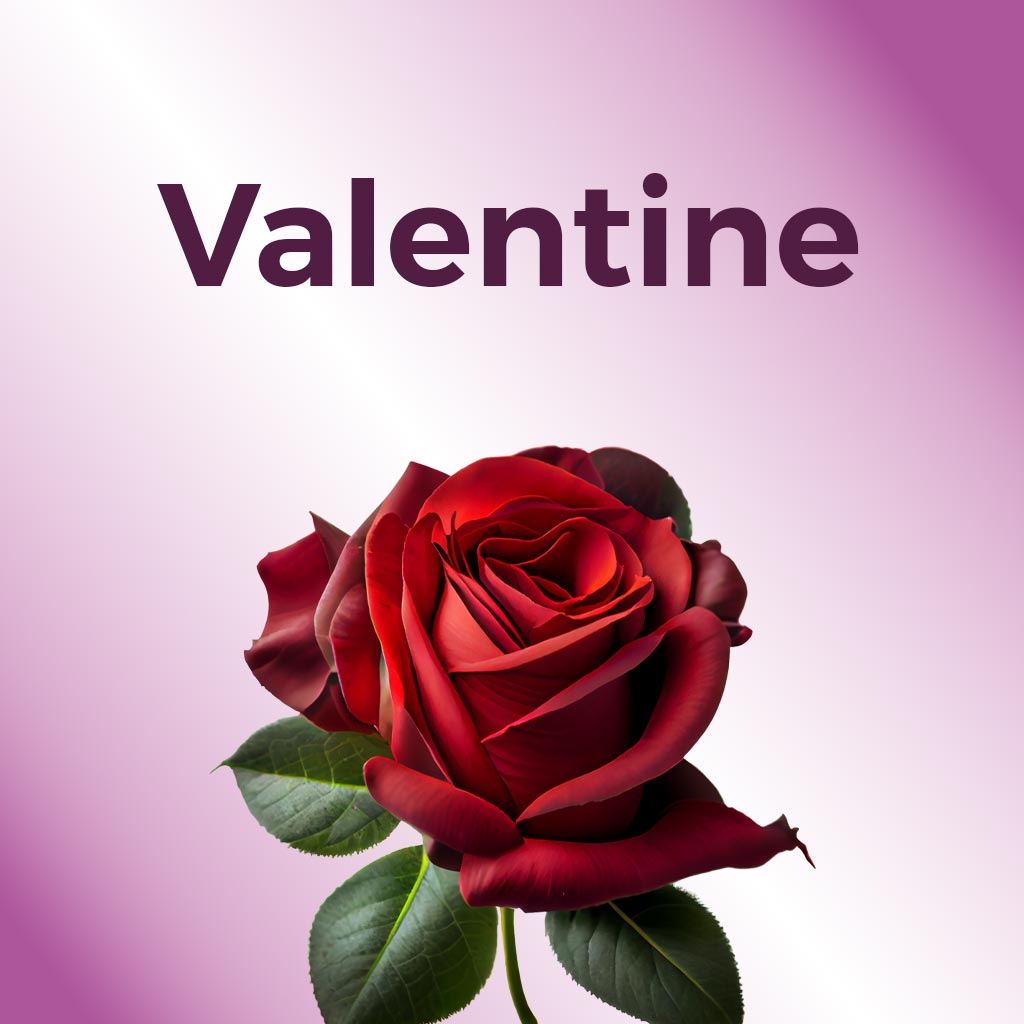 Valentine flowers