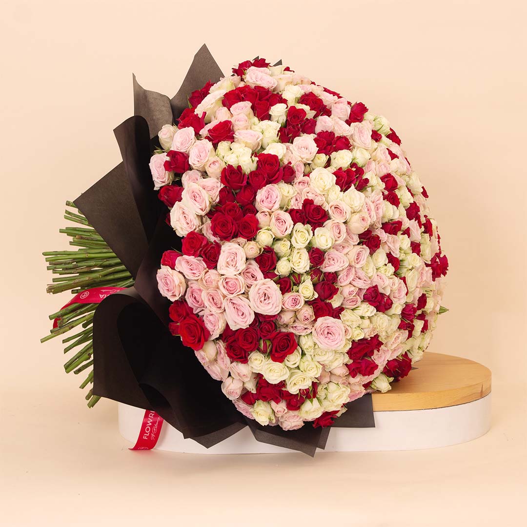Flowrista Online Flowers Shop Flowrista | Bouquet of 250 White, Pink & Red Roses
